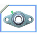 Bearing, Fkd Bearing, Pillow Block Bearing (UCFL208)